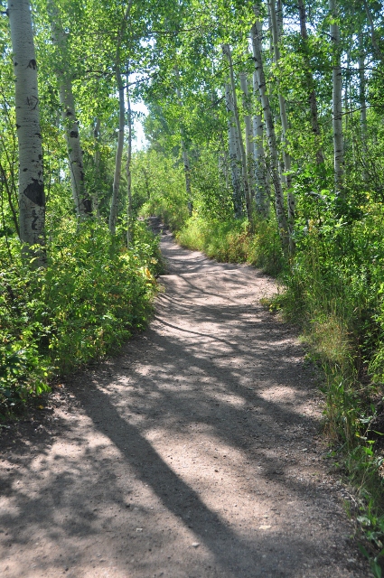 the path to Fish Creek Falls